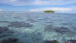 Keren! Ini Pasir Timbul di Raja Ampat