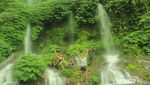 Keren! Lombok Punya Air Terjun Hijau