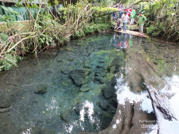 Kesakralan 7 Mata Air Di Hulu Sungai Citarum
