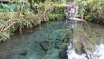 Kesakralan 7 Mata Air di Hulu Sungai Citarum