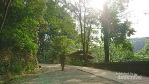 Kesejukan Alam dan Nilai-nilai Sejarah di Tahura Juanda