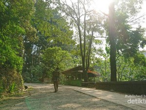 Kesejukan Alam dan Nilai-nilai Sejarah di Tahura Juanda