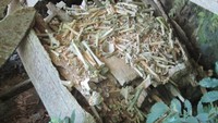 Tulang belulang di Kete Kesu