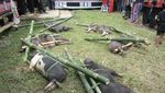 Kesempatan Langka, Menyaksikan Pemakaman Toraja
