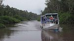 Kesempurnaan Kalimantan di Taman Nasional Tanjung Puting