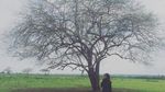 Keseruan Bertualang ke Afrika-nya Jawa