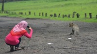 Taman Nasional Baluran