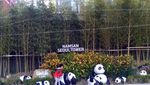 Kesetiaan, Gembok Cinta dan Namsan Tower Korsel