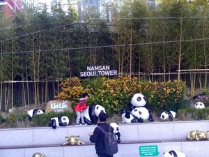 Kesetiaan, Gembok Cinta dan Namsan Tower Korsel
