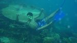 Ketagihan Free Dive di Perairan Derawan