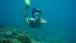 Ketagihan Free Dive di Perairan Derawan