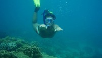Menikmati pesona bawah laut sangat  memukau