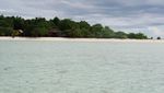Ketagihan Free Dive di Perairan Derawan