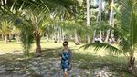 Ketawai, Pulau Tak Berpenghuni di Bangka
