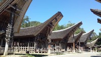 Sederetan Tongkonan dengan patung kepala kerbau dan tanduk-tanduk kerbau yang memiliki makna masing-masing