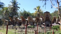 Desa Kete Kesu dikelilingi oleh padang rumput dan padi. Sungguh indah.