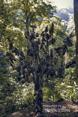 Ketemu Pohon Sepatu di Curug Lawe, Semarang