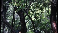 Si Kembar saat istirahat sebelum Tegal Alun, Papandayan