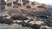 Jejeran batu karang