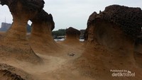 Jejeran batu karang