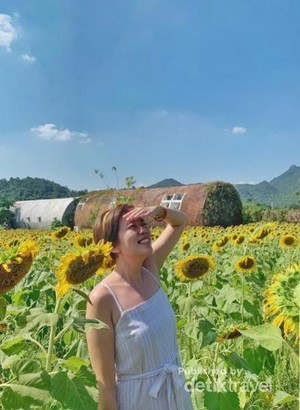 Khao Yai, Pesona Eropa di Kota Bangkok