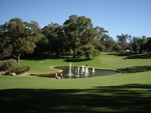 Kings Park, Taman Kota nan Cantik Jelita di Perth