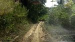 Kisah Belut Apu, Nenek Moyang Orang Sumba di Danau Laputi