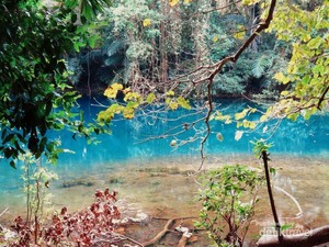 Kisah Belut Apu, Nenek Moyang Orang Sumba di Danau Laputi
