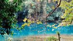 Kisah Belut Apu, Nenek Moyang Orang Sumba di Danau Laputi