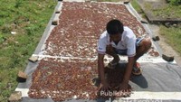 Petani cengkeh