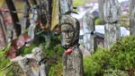Kisah Manusia Misterius di Gunung Bukit Raya Kalimantan
