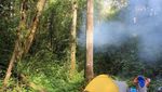 Kisah Manusia Misterius di Gunung Bukit Raya Kalimantan