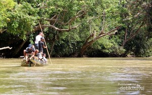 Kisah Manusia Misterius di Gunung Bukit Raya Kalimantan