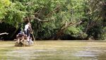 Kisah Manusia Misterius di Gunung Bukit Raya Kalimantan