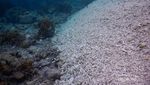 Kisah Miris Dibalik Menawannya Gundukan Pasir di Pulau Moyo