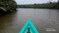 Sungai Sekonyer