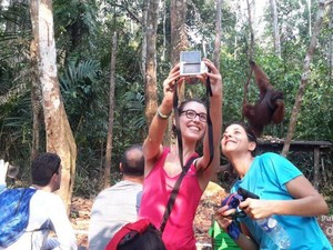 Kisah Orangutan yang Hampir Perkosa Seleb Julia Robert
