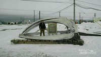 Whale Bone Arch Skull, tengkorak kepala Ikan Paus Hitam.
