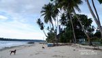 Kisah Pulau Cantik di Papua Barat yang Diangkat Jadi Film Hollywood