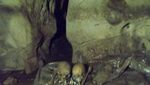 Kisah Romeo-Juliet dan Pohon Makam Bayi di Toraja