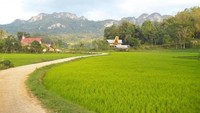 Panorama Desa adat Londa