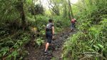 Kisah Sedih dari Lereng Gunung Lemongan