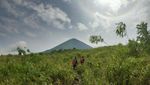 Kisah Sedih dari Lereng Gunung Lemongan