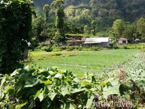 Kisah Tengkorak Manusia di Desa Trunyan Bali