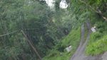 Kisah Traveling ke Desa Terpencil di Jawa Tengah