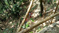 Jalan menuju lokasi air terjun