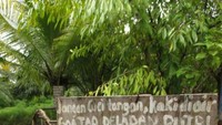 Ada delapan kolam yang berbeda