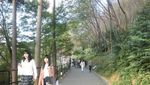 Kolam Jodoh & Batu Ramalan Cinta di Kuil Kyoto