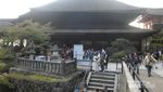 Kolam Jodoh & Batu Ramalan Cinta di Kuil Kyoto