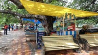 Salah satu penjual minuman di Kolkata